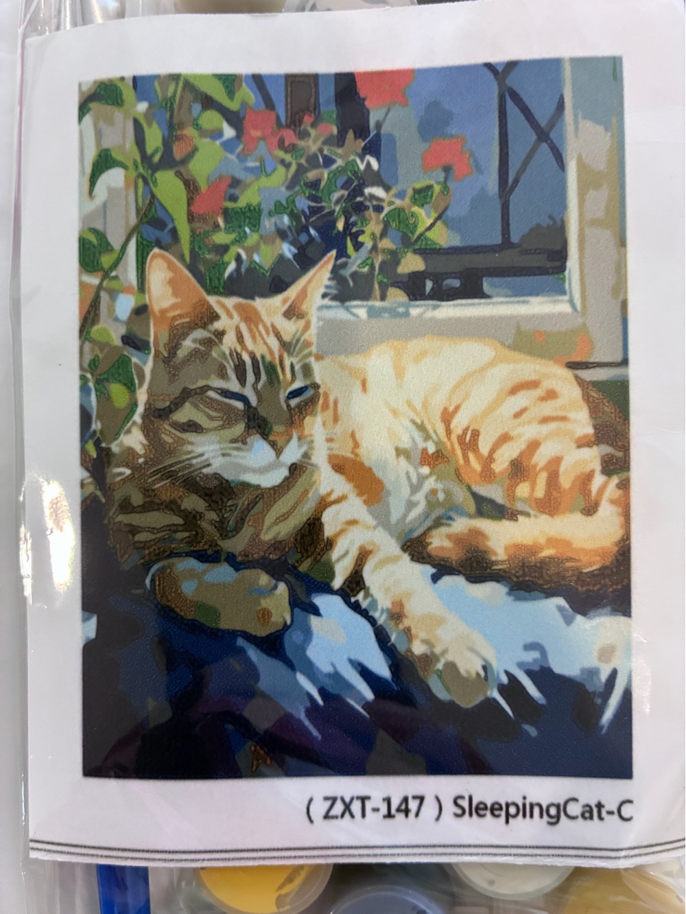 Cat Paint-by-Number Kit - Orange Tabby Design